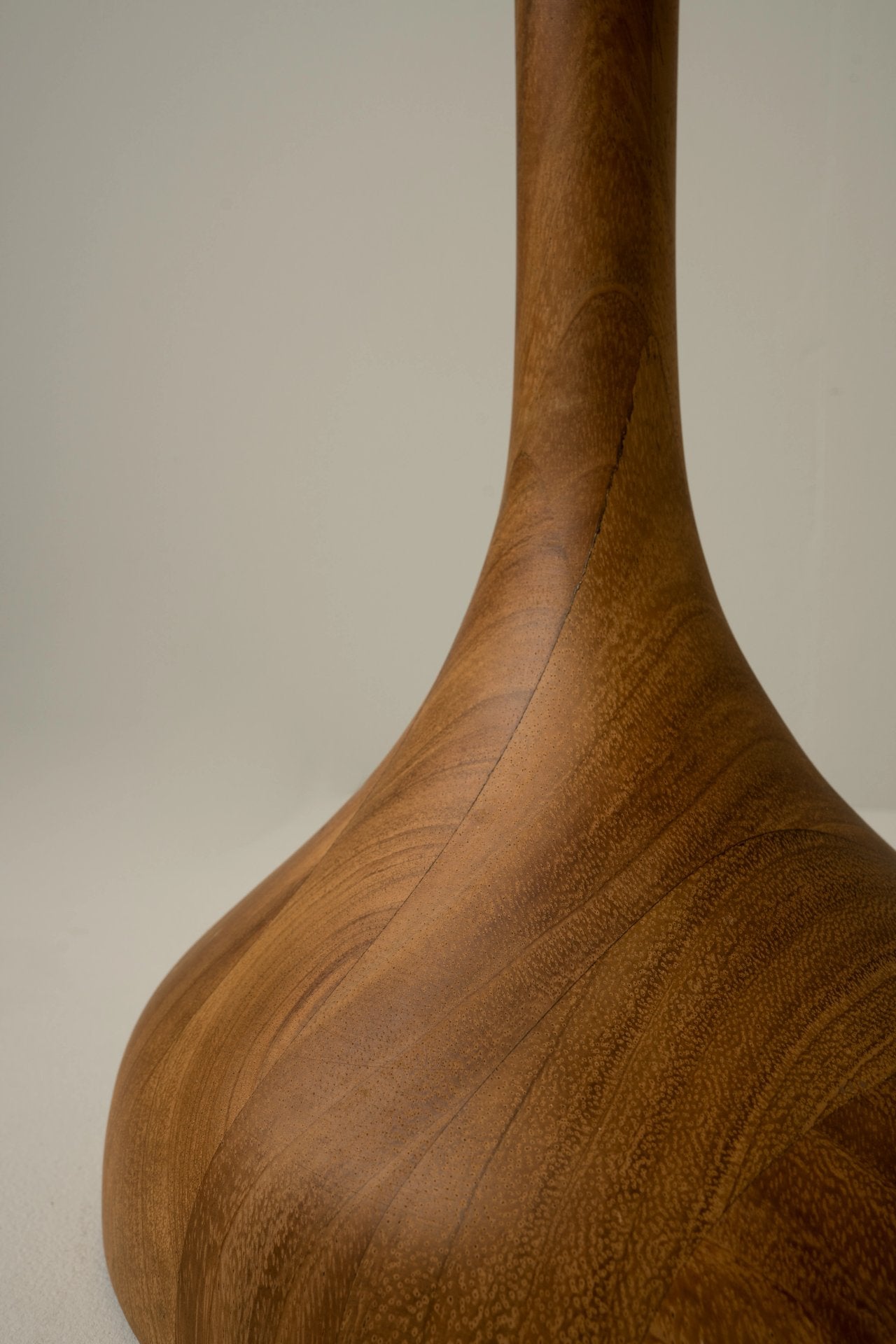 Pata de elefante large